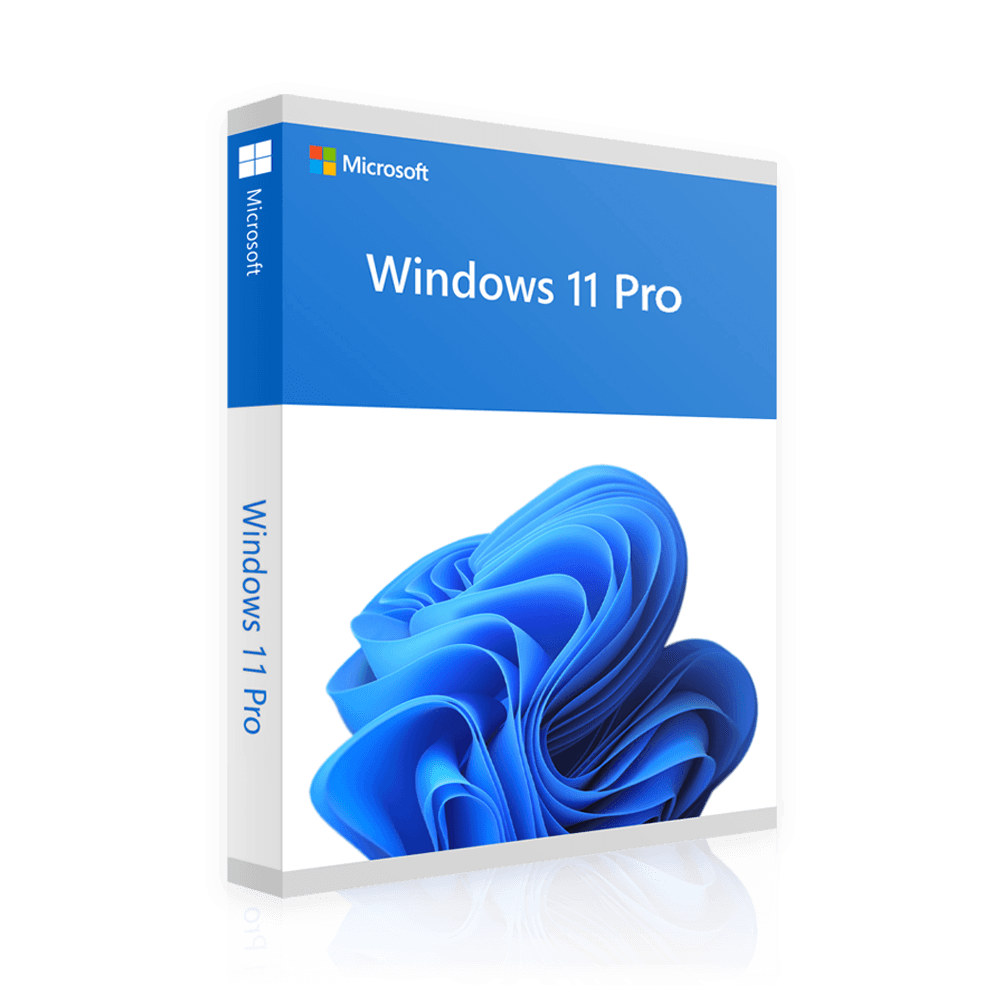 Windows 11 Professional | 2 für 1