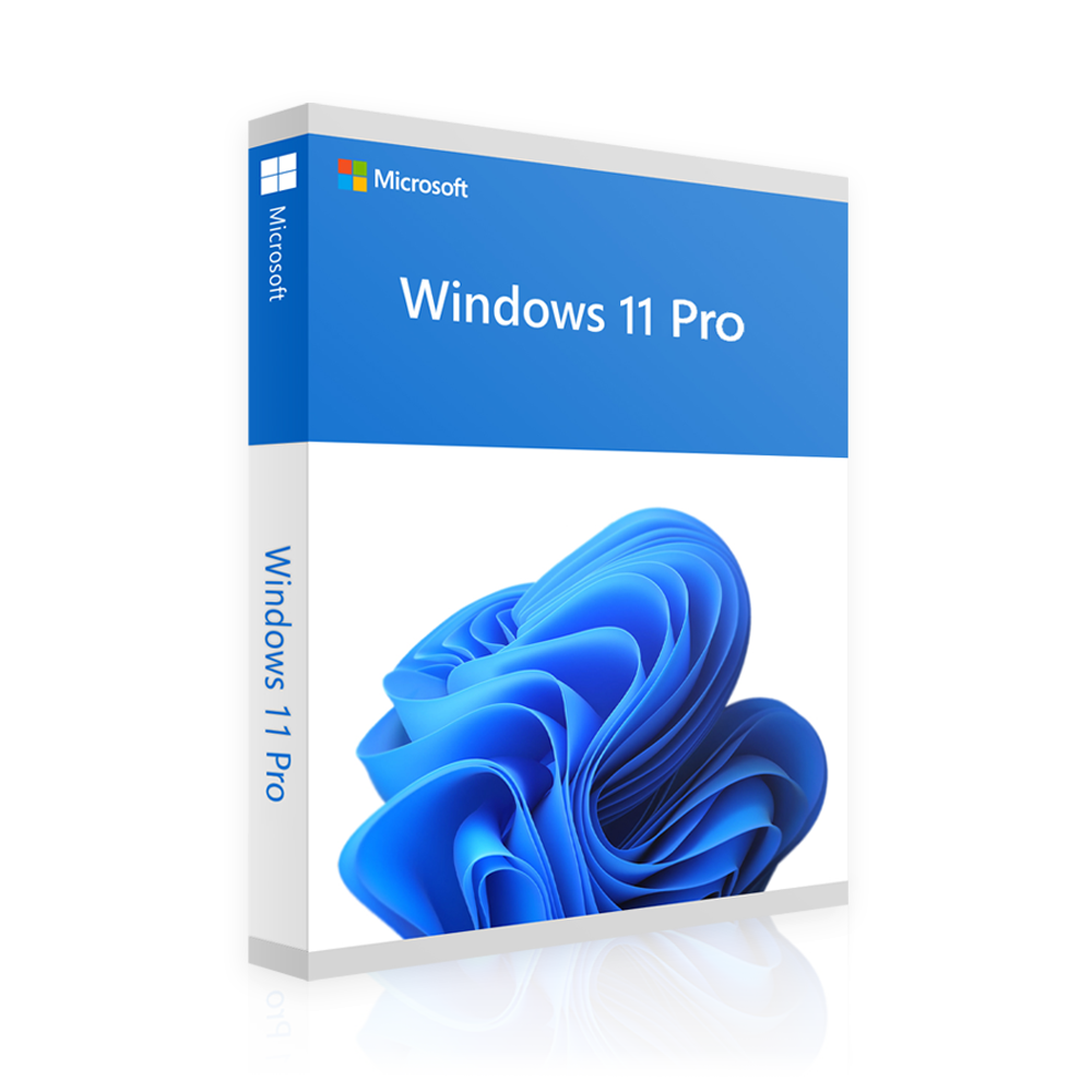 Windows 11 Professional | 2 für 1